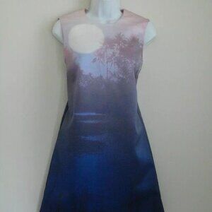 NWT VICTORIA BECKHAM Multi Color Sun Dream Dropped Hem Shift Dress 42/6